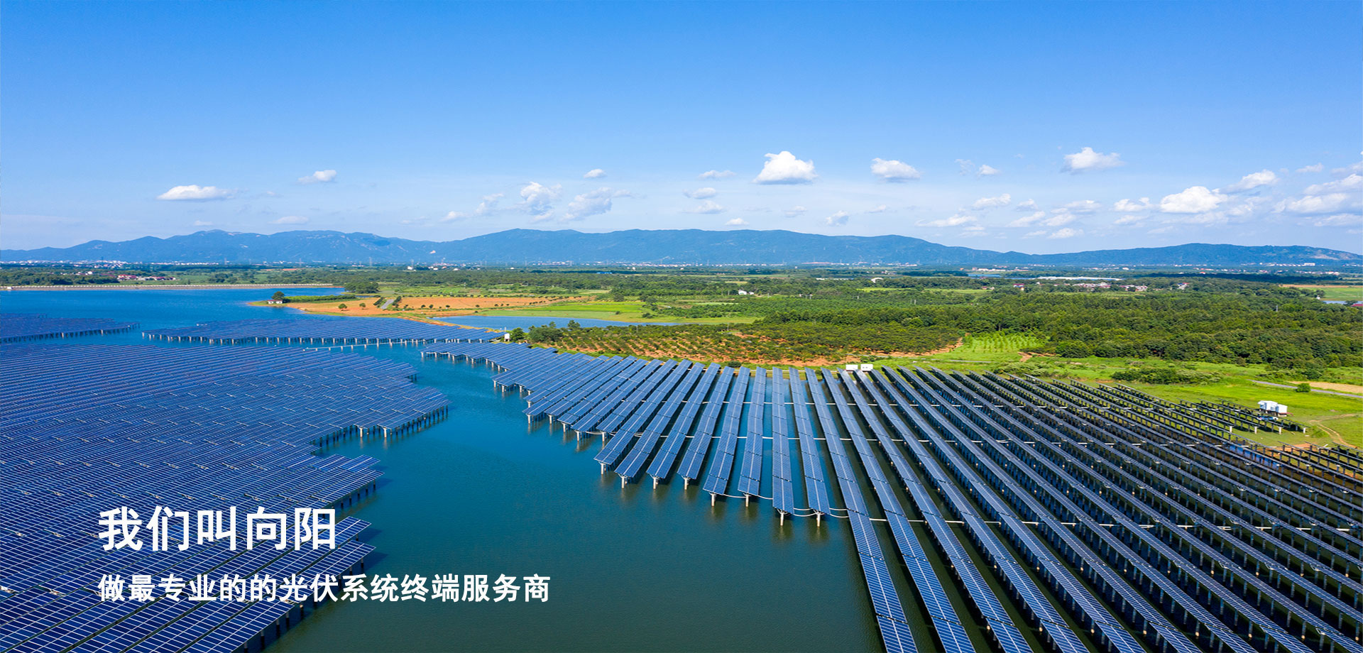 昨日秦磚漢瓦，今日天雄時代